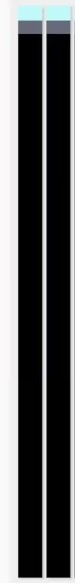 LCD SCREEN TAPE 160MM X 10MM (2 PIECE)